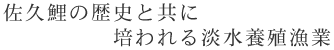 佐久鯉の歴史と共に培われる淡水養殖漁業